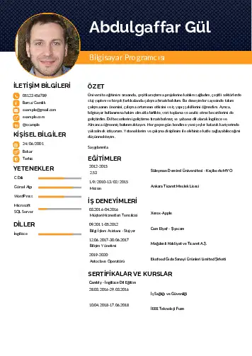 Bilgisayar Programcısı CV Örnekleri cv indir
